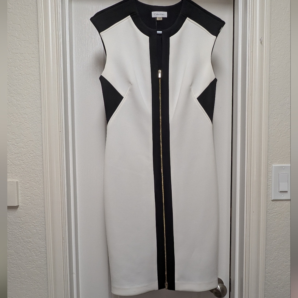 Calvin Klein Size 6 Black and White Dress